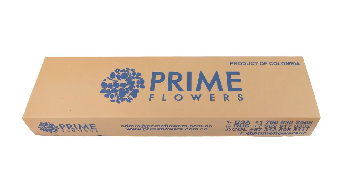Prime Flowers quarter box