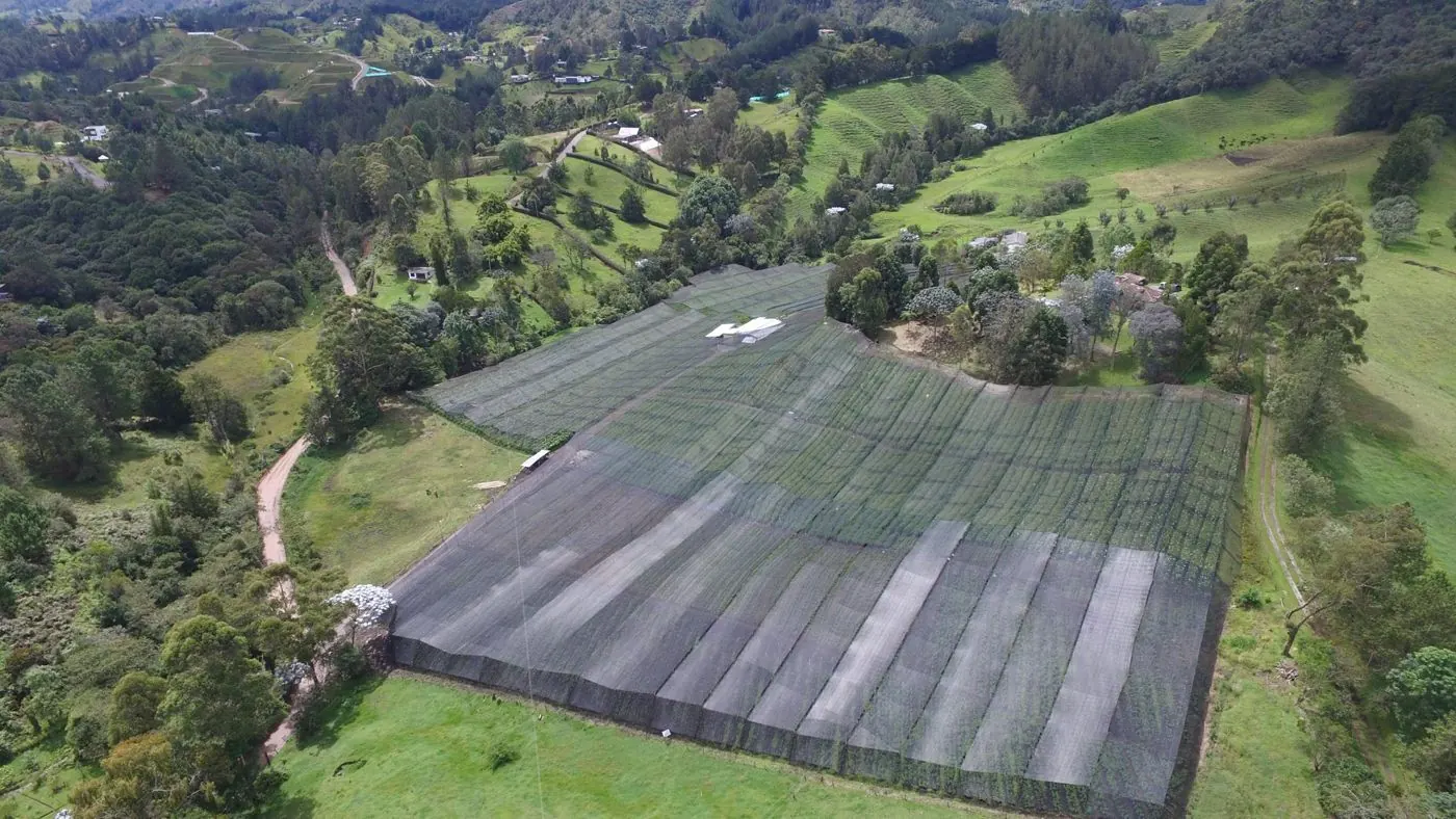 Aerial view of the Prime Flowers farm under shade cloth